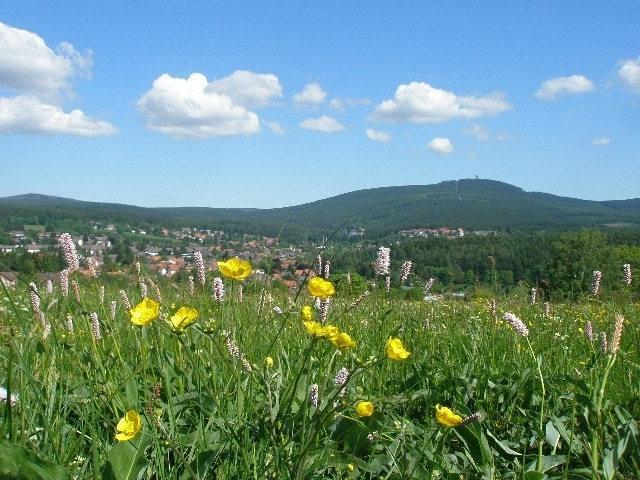 Harzpension Haus Koenigskopf 布劳恩拉格 外观 照片