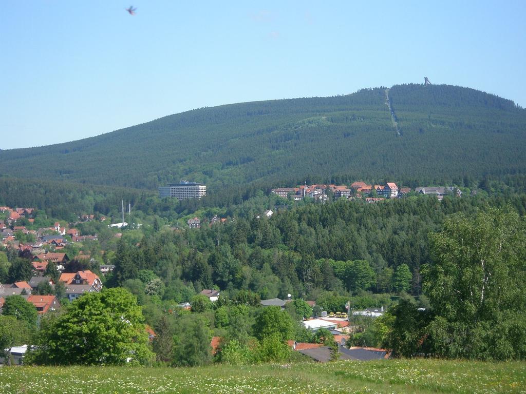 Harzpension Haus Koenigskopf 布劳恩拉格 外观 照片